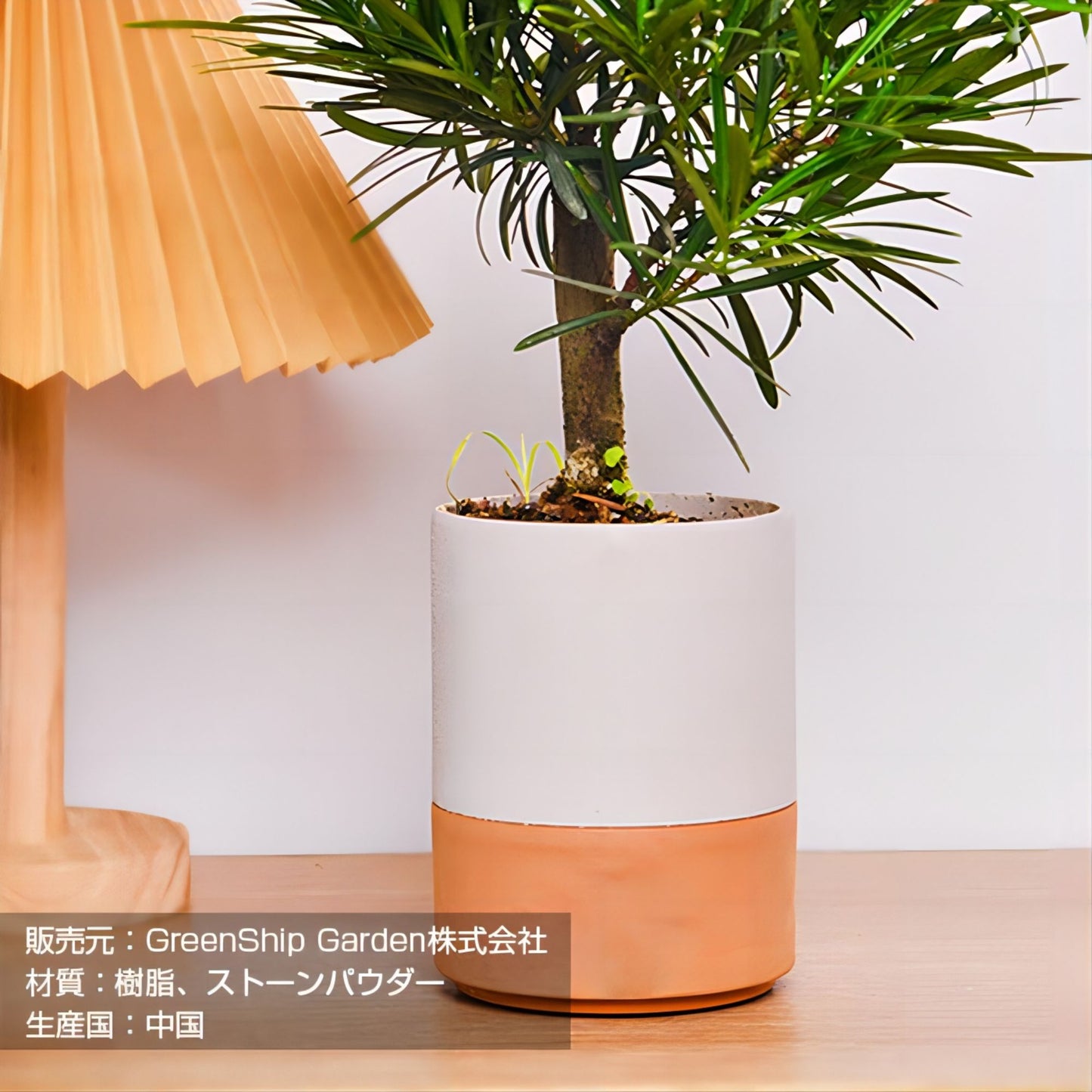 ＧreenShip　植木鉢　底部自動吸水 Table鉢　４色　小型3号 　リサイクル材　軽量で丈夫　SCHP-M-16G10-B