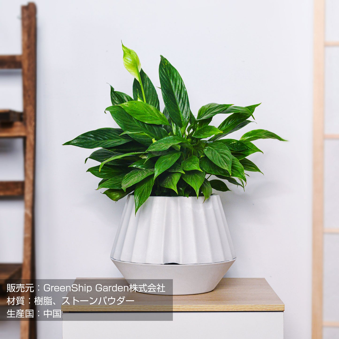 ＧreenShip　植木鉢　底部自動給水、植え替え不要プランター　白/テラコッター/ライトグレイ　8号 　SCHP-M-23K25-A