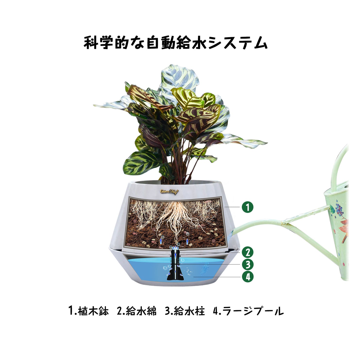 ＧreenShip　植木鉢　底部自動給水、植え替え不要プランター　白/テラコッター/ライトグレイ　8号 　SCHP-M-23K25-A